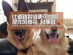 比道路裂缝更可怕的是作风掺杂_时事政治_中公教育网‘开云体育首页’(图1) KAIYUN SPORTS