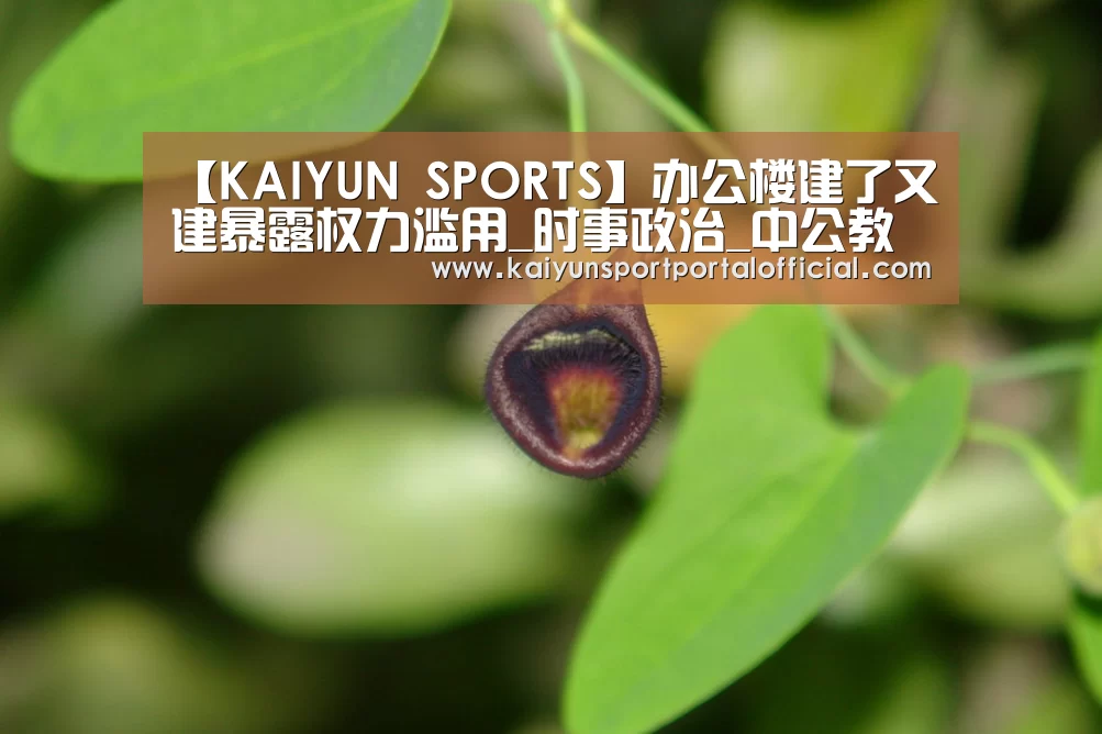【KAIYUN SPORTS】办公楼建了又建暴露权力滥用_时事政治_中公教育网(图1) 开云体育首页